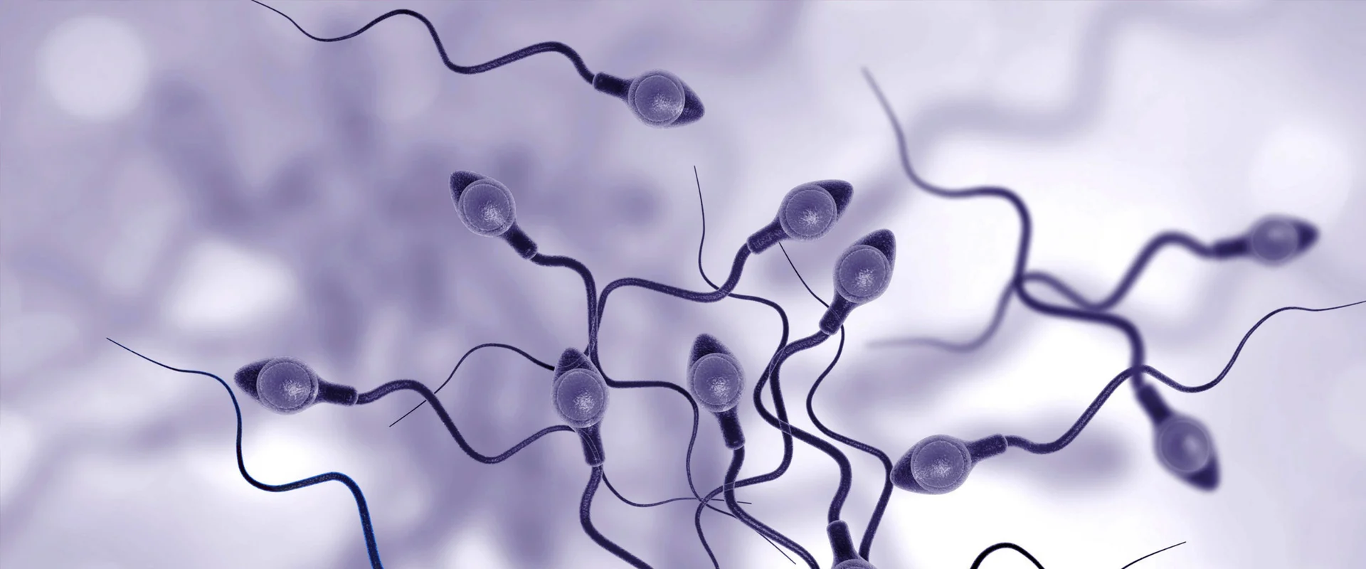 Biologie de la reproduction, fertilité et PMA au laboratoire LABOMAC à Casablanca